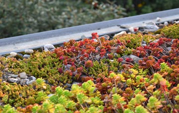 the cost of Elslack green roof installation
