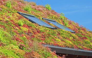 Elslack living roof systems